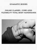 Gymnastic Bodies - Online Classes : Core Legs Flexibility Total Body Handstands download