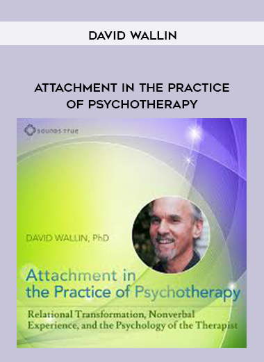 DAVID WALLIN - Attachment in The Practice of Psychotherapy download